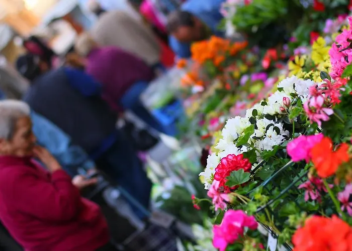 La Rosa Dei Venti Frühstückspension Genua