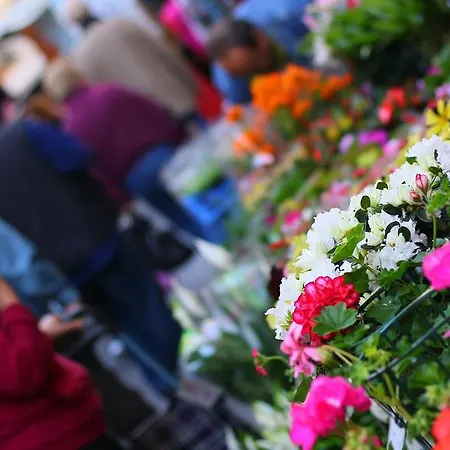 La Rosa Dei Venti ベッド・アンド・ブレックファスト ジェノヴァ